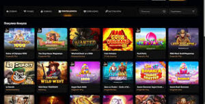 Обзор службы поддержки клиентов и подробное описание Lev Gambling Enterprise